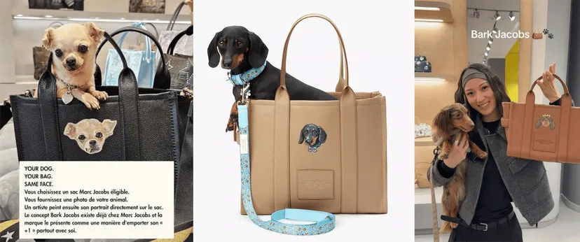 Newsletter Expérience Club Pop-up Bark Jacobs