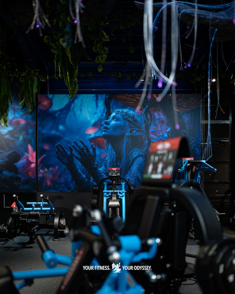 Clark powell Fitness Salle de Sport