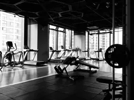 Comment trouver une application avec des playlists pour une salle de sport à Lyon